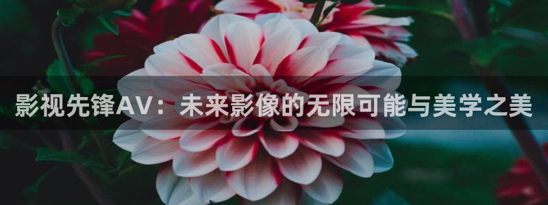 青柠影视大全