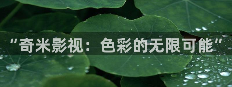 青柠影院日本
