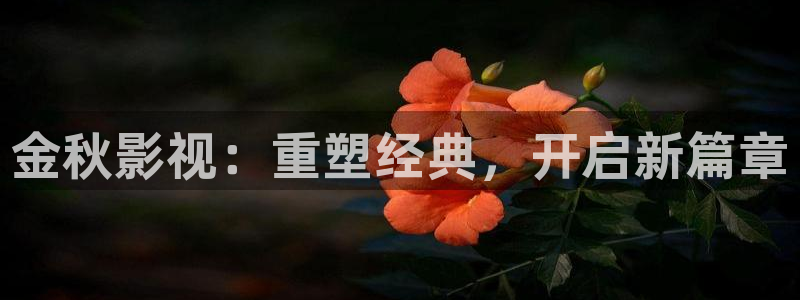 青柠影院在线观看高清电影