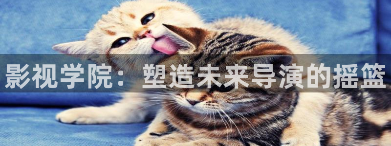 青柠影院电影在线
