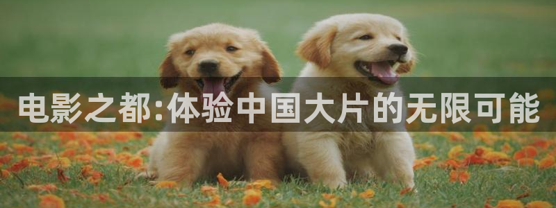青柠影院免费观看在线