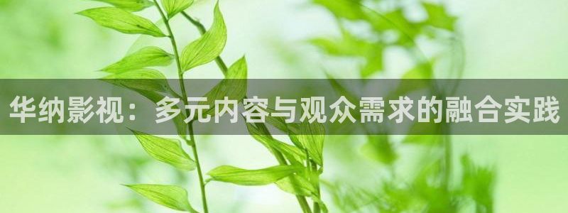 青柠影院免费高清完整版