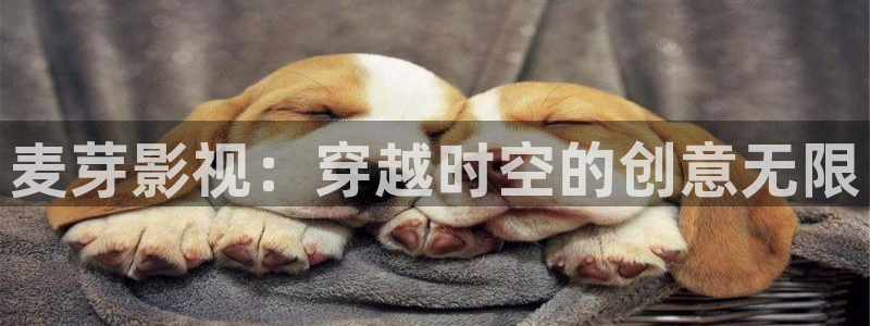 青柠影视在线免费